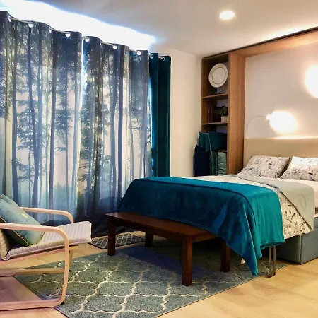 Apartman Imowemo Multifuncional Penthouse Ovar