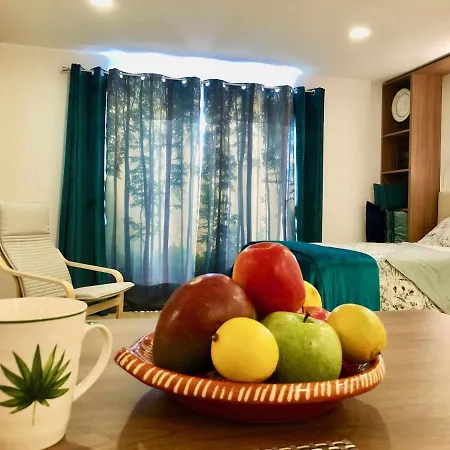 Apartman Imowemo Multifuncional Penthouse *